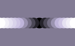 Grey Lavender