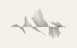 Vectors